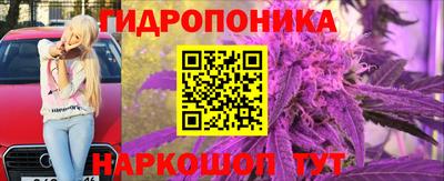 крисы Малоярославец
