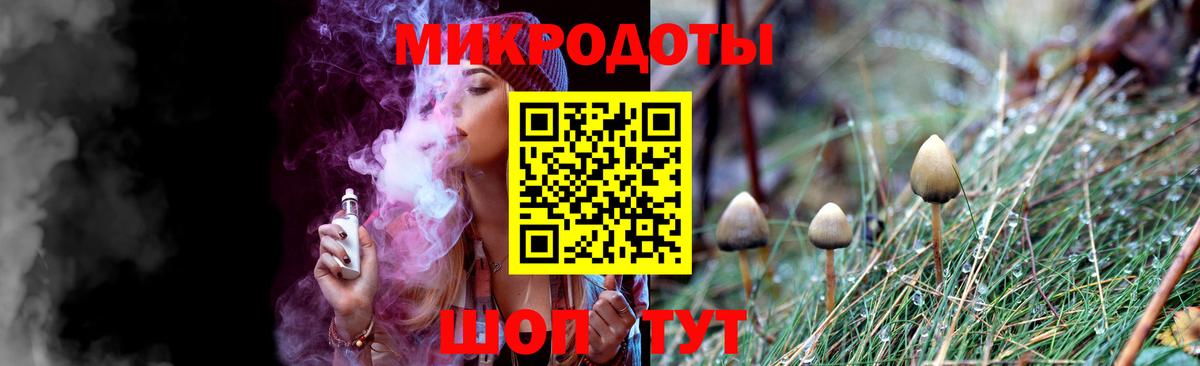 Псилоцибиновые грибы Psilocybine cubensis Верхний Уфалей