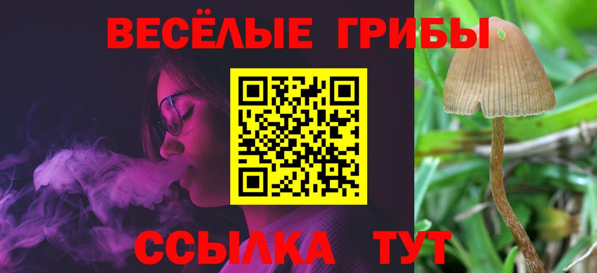 Псилоцибиновые грибы Psilocybine cubensis  Вход с VPN  Верхний Уфалей 